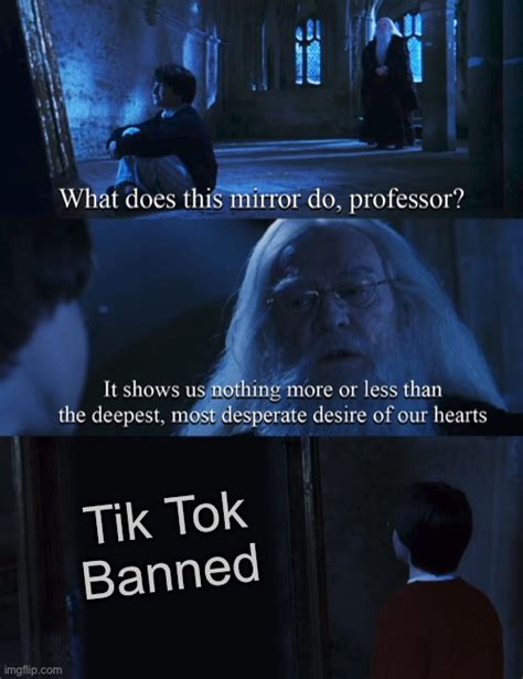 Tik Tok Must Be Banned Imgflip