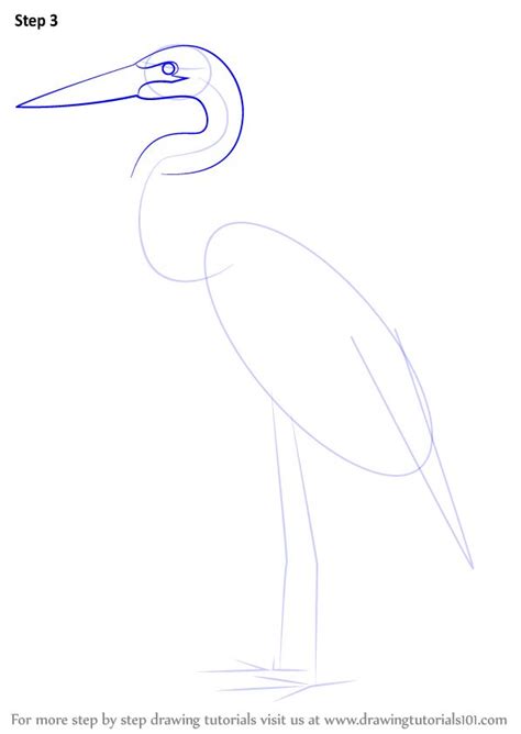 Learn How To Draw A Great Blue Heron Birds Step By Step Drawing