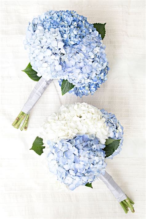 Wedding Flower Power The Heavenly Hydrangea