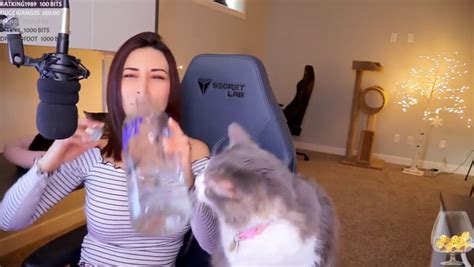 Gamer Sparks Outrage For ‘throwing Cat Over Her Shoulder On Twitch