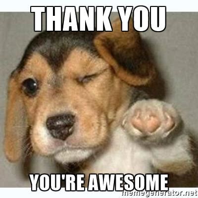 5 thank you for being there images. thank you cute puppy meme | EntertainmentMesh