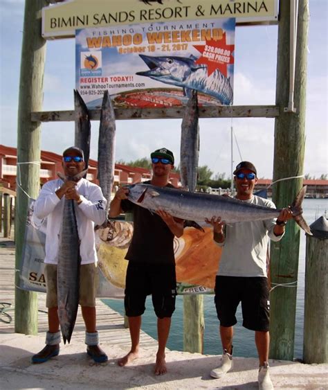 Bimini Sands And Resort 1st Annual Wahoo Tournament Fishing Report