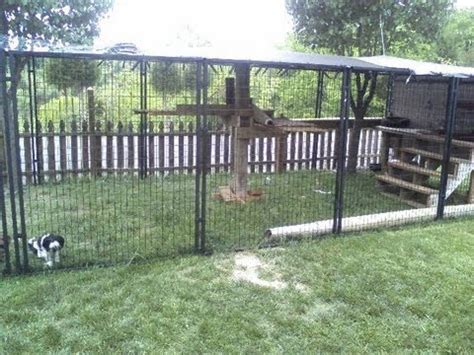 Easy to Make Outside Cat Enclosure with PetSafe Dog ...
