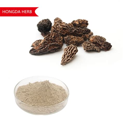 Dried Morchella Esculenta Mushroom Powder,China price supplier - 21food