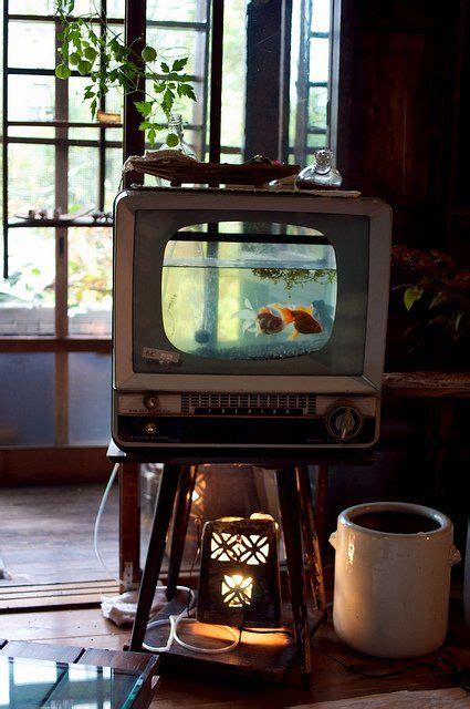 Everyday objects turned into fish tanks. Pin on Bonnes Idées