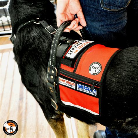 You can find service dog vests for sale plenty of places online, including walmart, amazon, and chewy.com. Service Dog Cape/Vest
