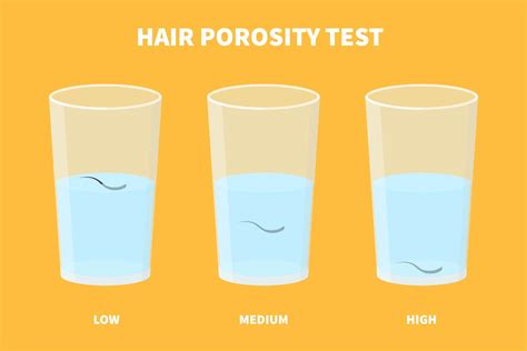 Hair Porosity Test 101 The Complete Step By Step Guide 2024