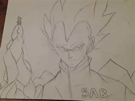 Vegeta Sab Jacket Dragonballz Amino