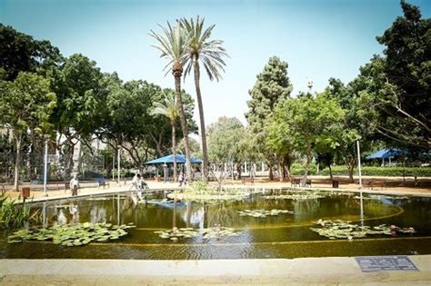 בית החולים אסף הרופא למדא: מקומות לתיירים בתל אביב: לאן תקחו אורחים מחו"ל?