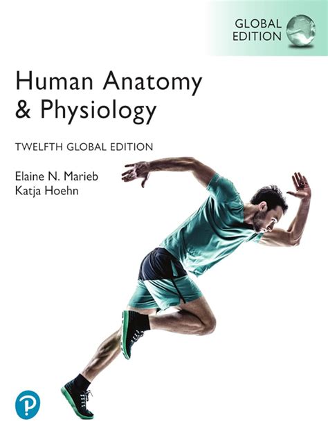 Human Anatomy And Physiology Global Edition Ebook Marieb Elaine N