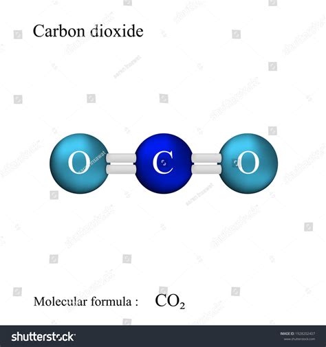 Lewis Structural Formula Carbon Dioxide Molecular Stock Vector Royalty Free