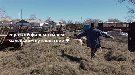 Впервые в поселке Спонтанная поездка Казахский аул YouTube