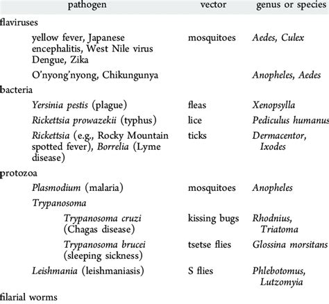 Common Vector Borne Diseases And Their Vectors Download Table