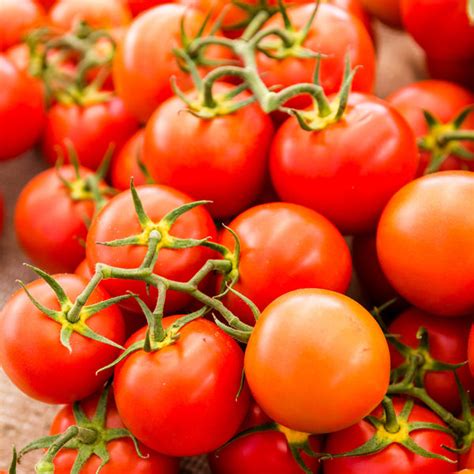 Tomato Seeds Sweetie Vegetable Seeds In Packets And Bulk Eden Brothers