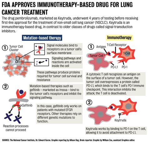 Lung Cancer Treatment Receives Fda Approval Following Ucla Trials