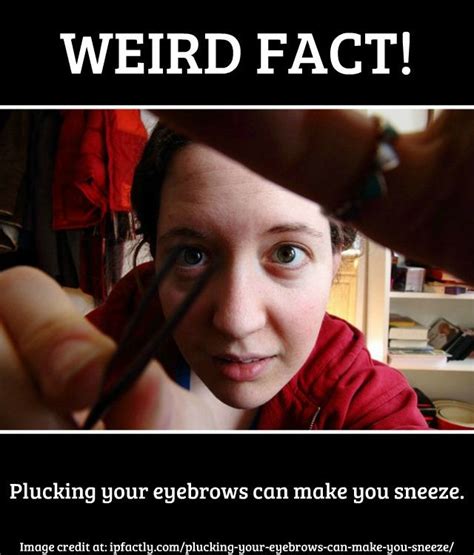 Plucking Your Eyebrows Can Make You Sneeze Fun Facts You Need To