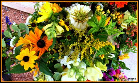 We did not find results for: flowers | Farmer, Plants, Flowers