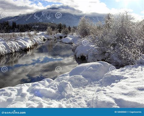 Sunny Riverbank With Whistler Mountain In The Back Stock Photo Image