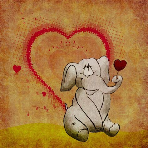 Elephant In Love Free Photo Download Freeimages