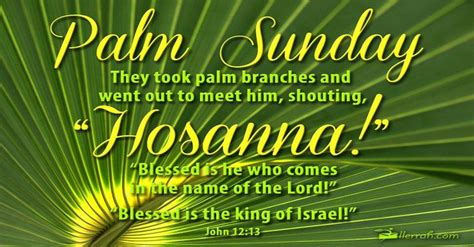 Palm Sunday Postcard They Took Palm Branches And Went Out To Meet Him