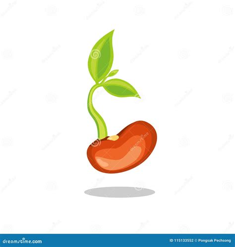 Simple Sprouting Seed Drawing Green Cartoon Sprout Stock Vector