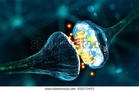 Synapse Neuron Cells Sending Electrical Chemical Stock Illustration