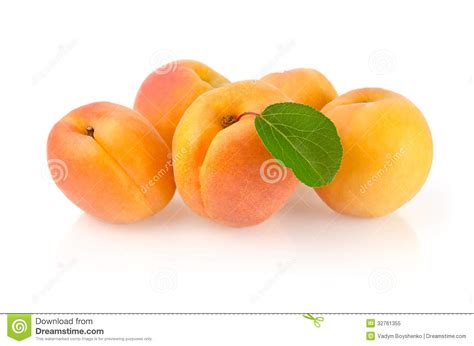 Ripe Apricots With Leaf Stock Image Image Of Agriculture 32761355