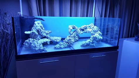 Click This Image To Show The Full Size Version Reef Tank Aquascaping