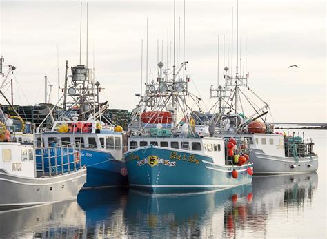 Fishing Vessel Sinks As Lucrative Lobster Season Opens Off