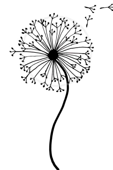 Flowers symbol is a copy and paste text symbol that can be used in any desktop, web, or mobile applications. How to draw a dandelion: Easy dandelion drawing step by ...