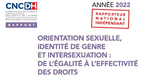 rapport orientation sexuelle identité de genre intersexuation de l égalité à l effectivité