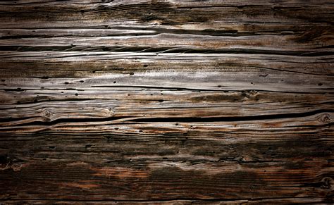 Free Images Nature Branch Texture Plank Floor Trunk Old