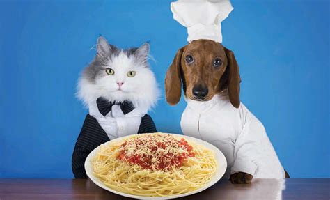 spay – Hiawatha Animal Humane Society