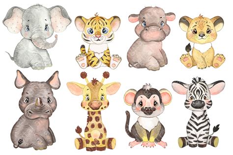 Watercolor Sublimation Design Baby Animal Clipart Safari Baby Animal