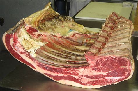 Which primal cut does the rib eye steak come from. Best overall butcher for American cuts - Aussie BBQ Forum