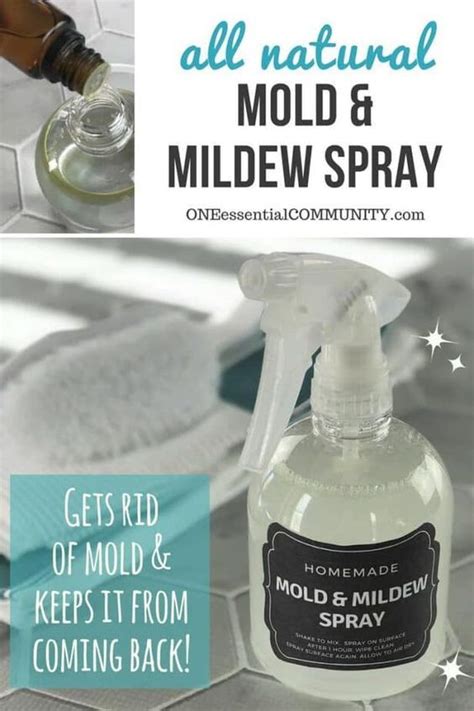 Anti Mold And Mildew Spray Natural Cleaning Products Cleaning Recipes