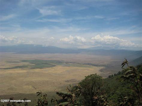 Aerial View Of Ngorongoro Crater
