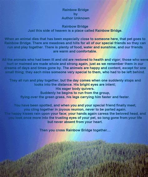 Find related themes, quotes, symbols, characters, and more. The Rainbow Bridge Poem