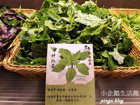 The site owner hides the web page description. 夏部Shabu壽喜燒｜新竹美食：七種精緻肉品 台東野菜吃到飽 - 小企鵝生活趣