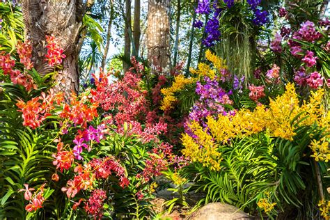 How To Plant A Garden That Blooms All Year Garden Likes
