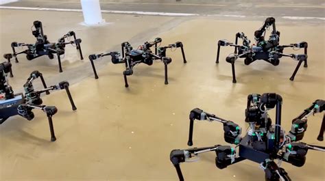 Video Friday Attack Of The Hexapod Robots Ieee Spectrum