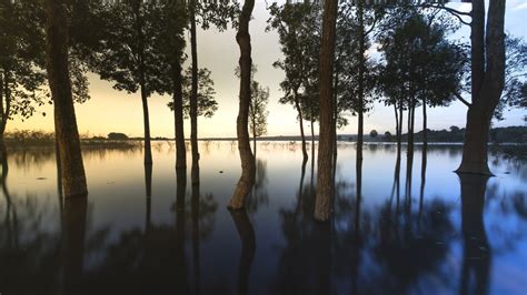Download Wallpaper 1600x900 Lake Trees Reflections Sunrise Nature