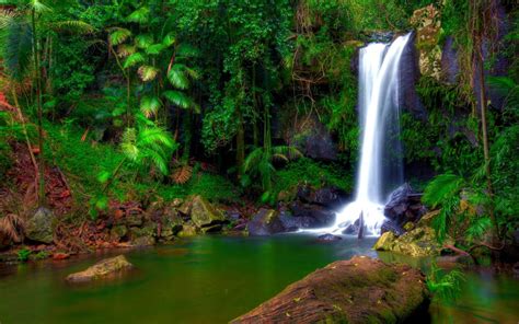 Wonderful Tropical Waterfall Jungle Green Tropical