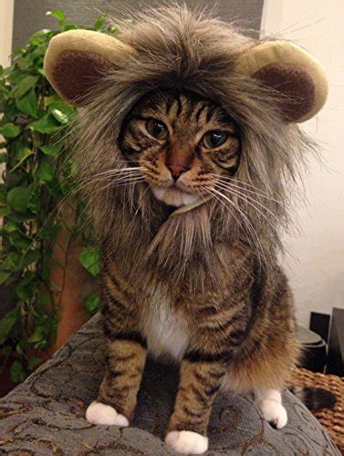 Buy funny cute pet costume cosplay lion mane at www.gigglycat.com! Itplus Pet Cosplay Costume Adjustable Lion Mane Wig Hat ...