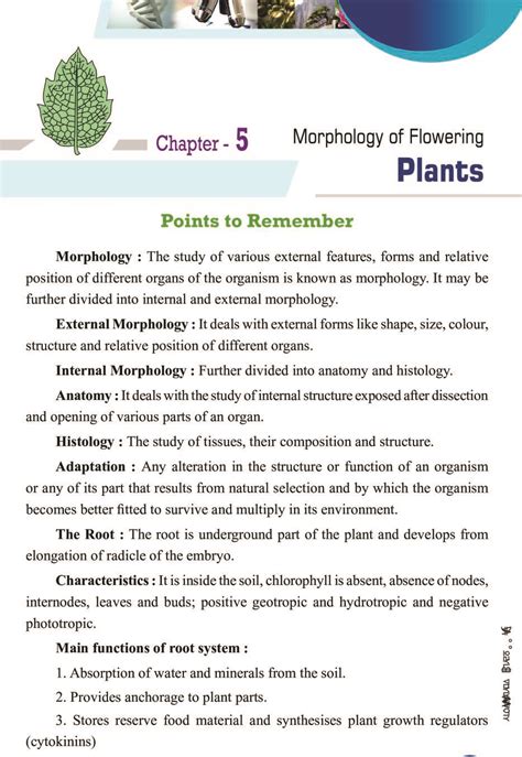 Cbse Notes Class 11 Biology Morphology Of Flowering Plants Aglasem