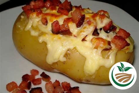 Batata Recheada Com Bacon E Queijo Receita De Grandes Restaurantes