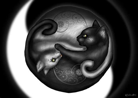 Yin And Yang Cats By Khaliaart On Deviantart