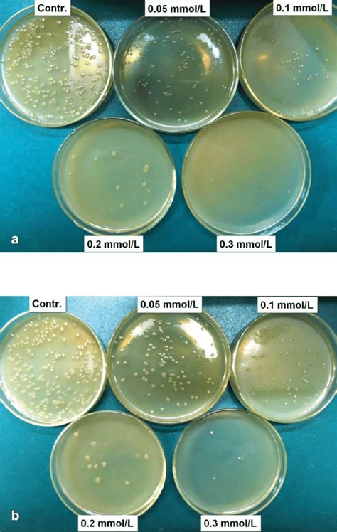 Photograph Of The Growth Of E Coli On Agar Plates At Different