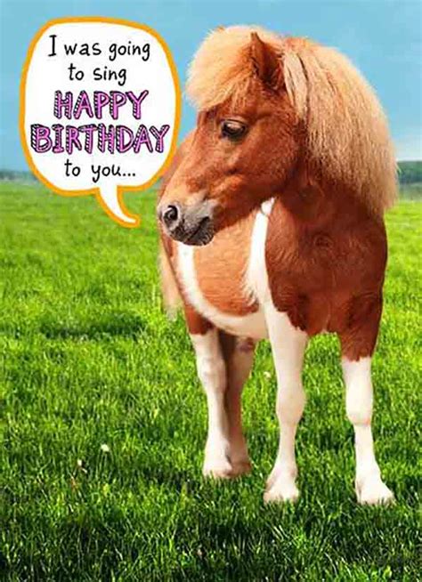 17 Best Happy Birthday Horse Meme