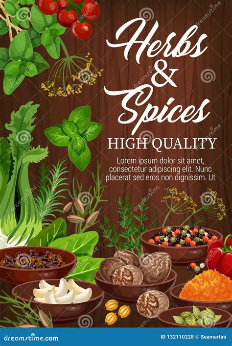 Spices And Herbs Culinary Flavoring Seasonings Stock Vector